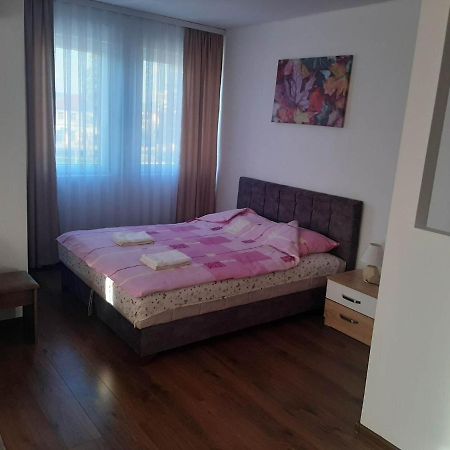 Vila Centar Mb Panzió Sjenica Kültér fotó